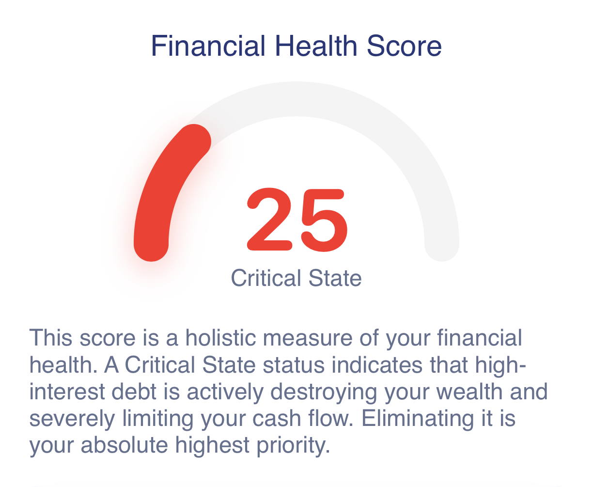 Financial Health Score